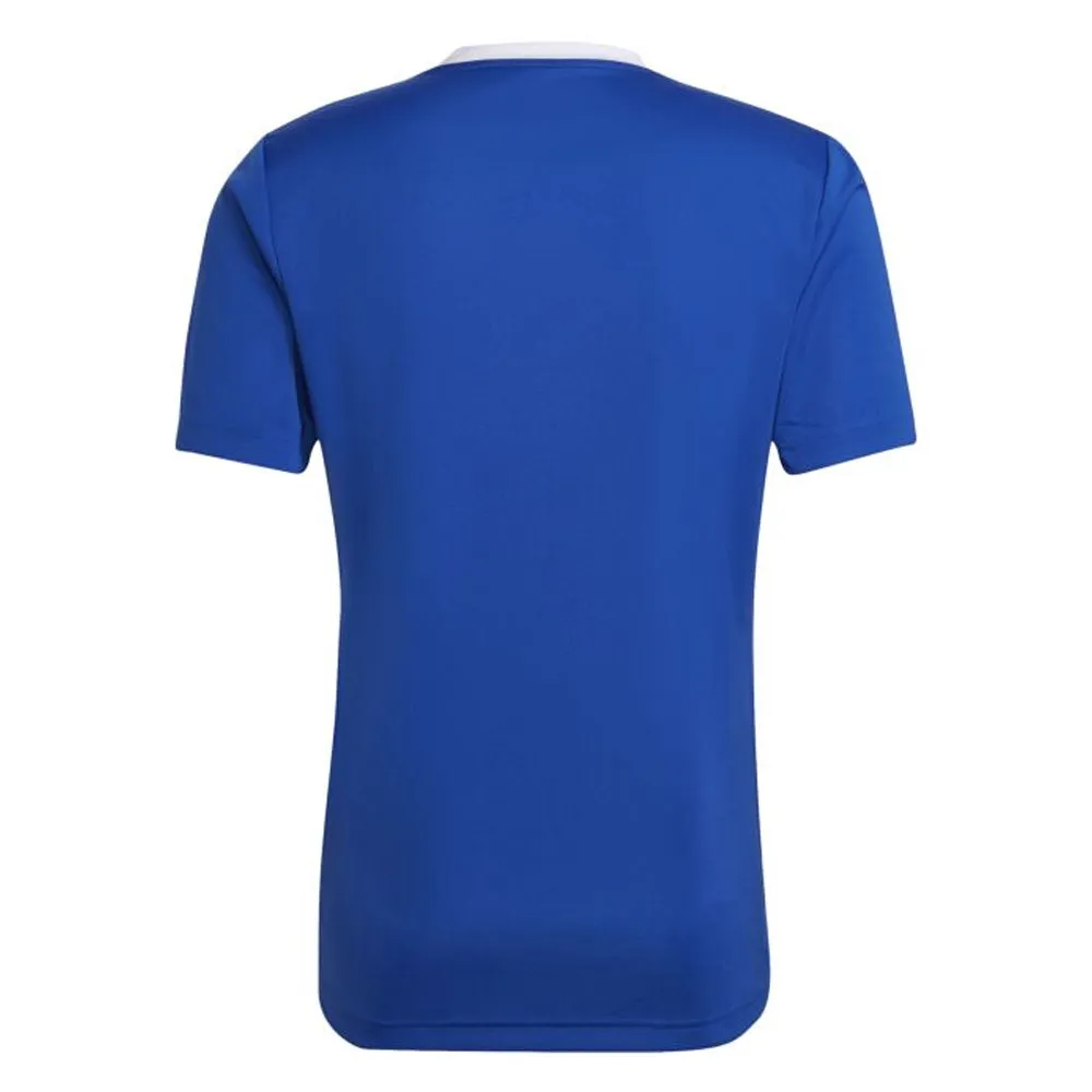 Adidas Adult Entrada 22 Jersey (Royal/White)