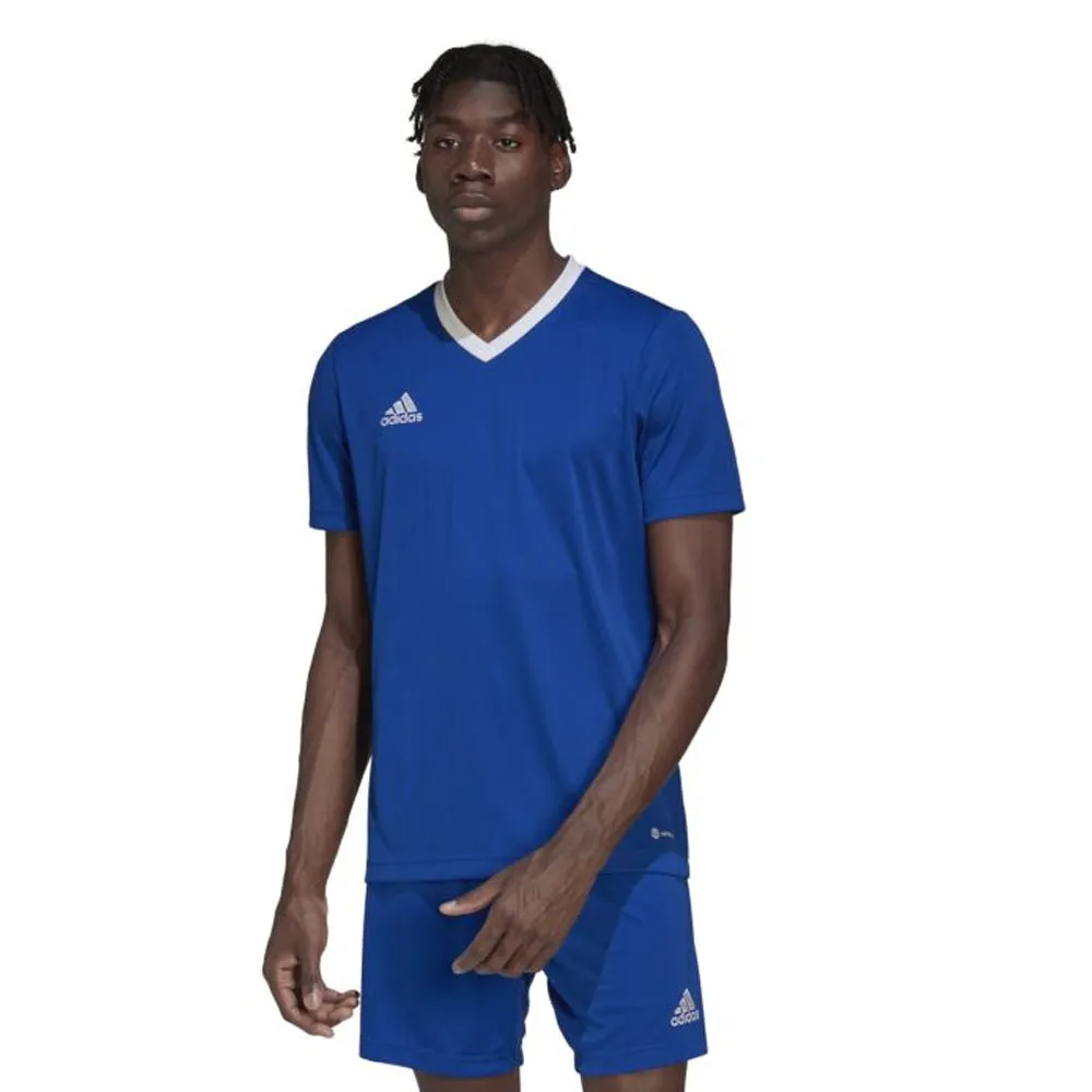 Adidas Adult Entrada 22 Jersey (Royal/White)