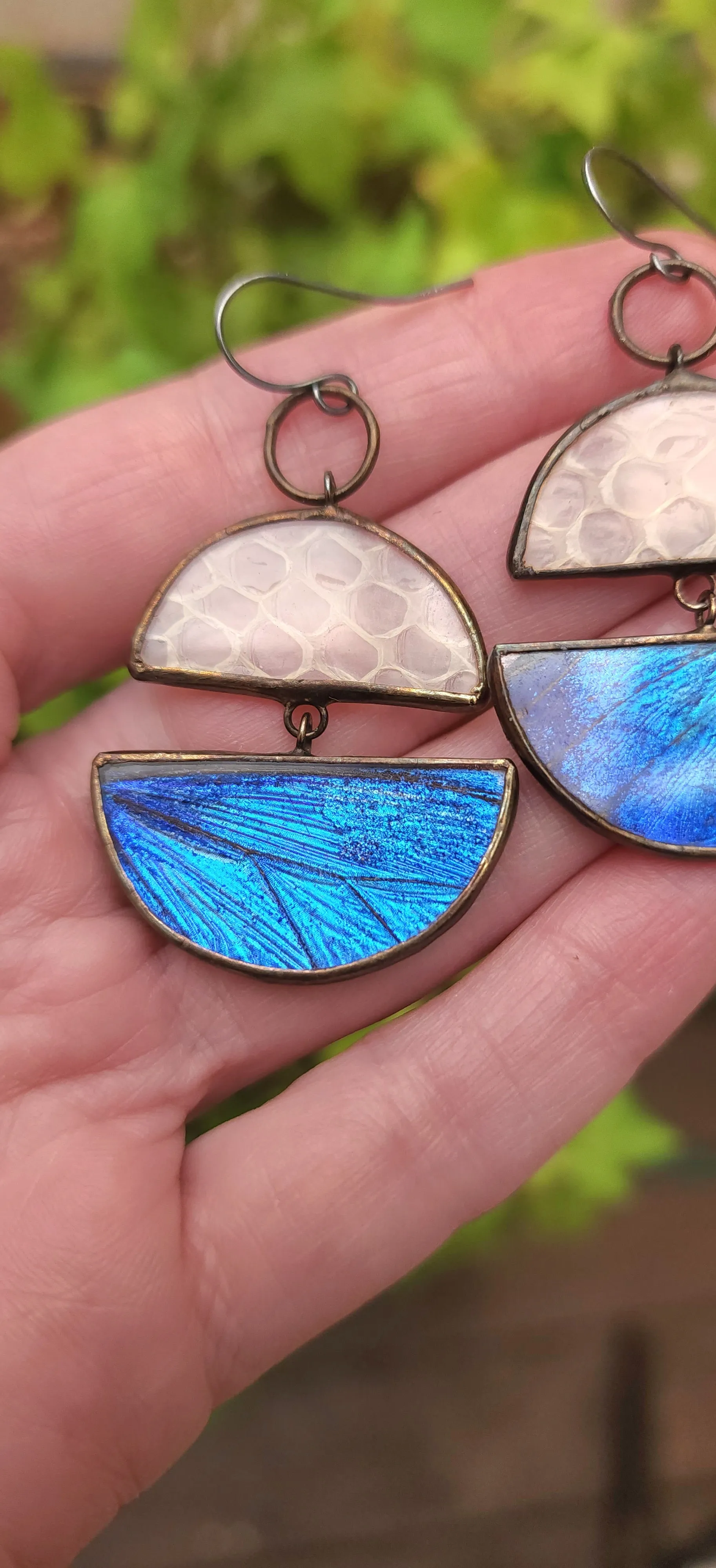 Blue Butterfly   Snakeskin Shed Horizon Earrings