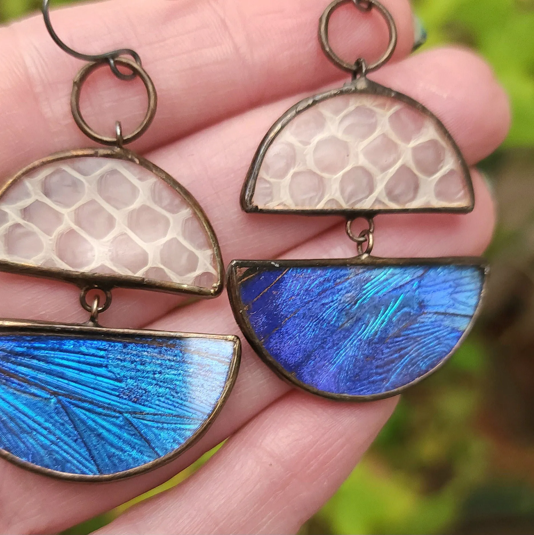 Blue Butterfly   Snakeskin Shed Horizon Earrings