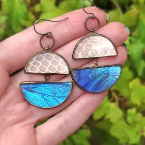 Blue Butterfly   Snakeskin Shed Horizon Earrings