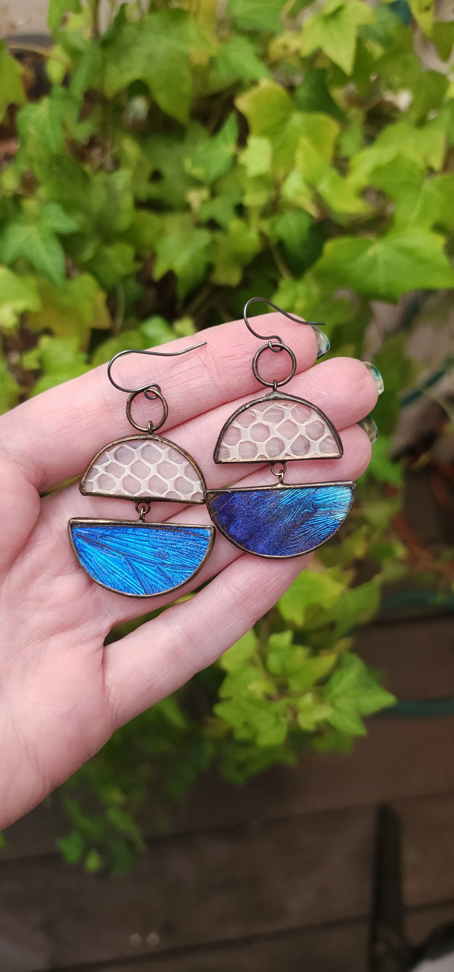 Blue Butterfly   Snakeskin Shed Horizon Earrings