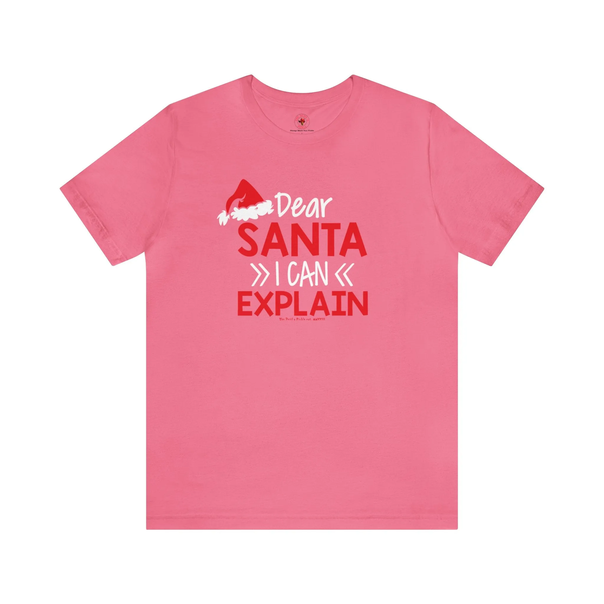 Dear Santa I Can Explain T-Shirt