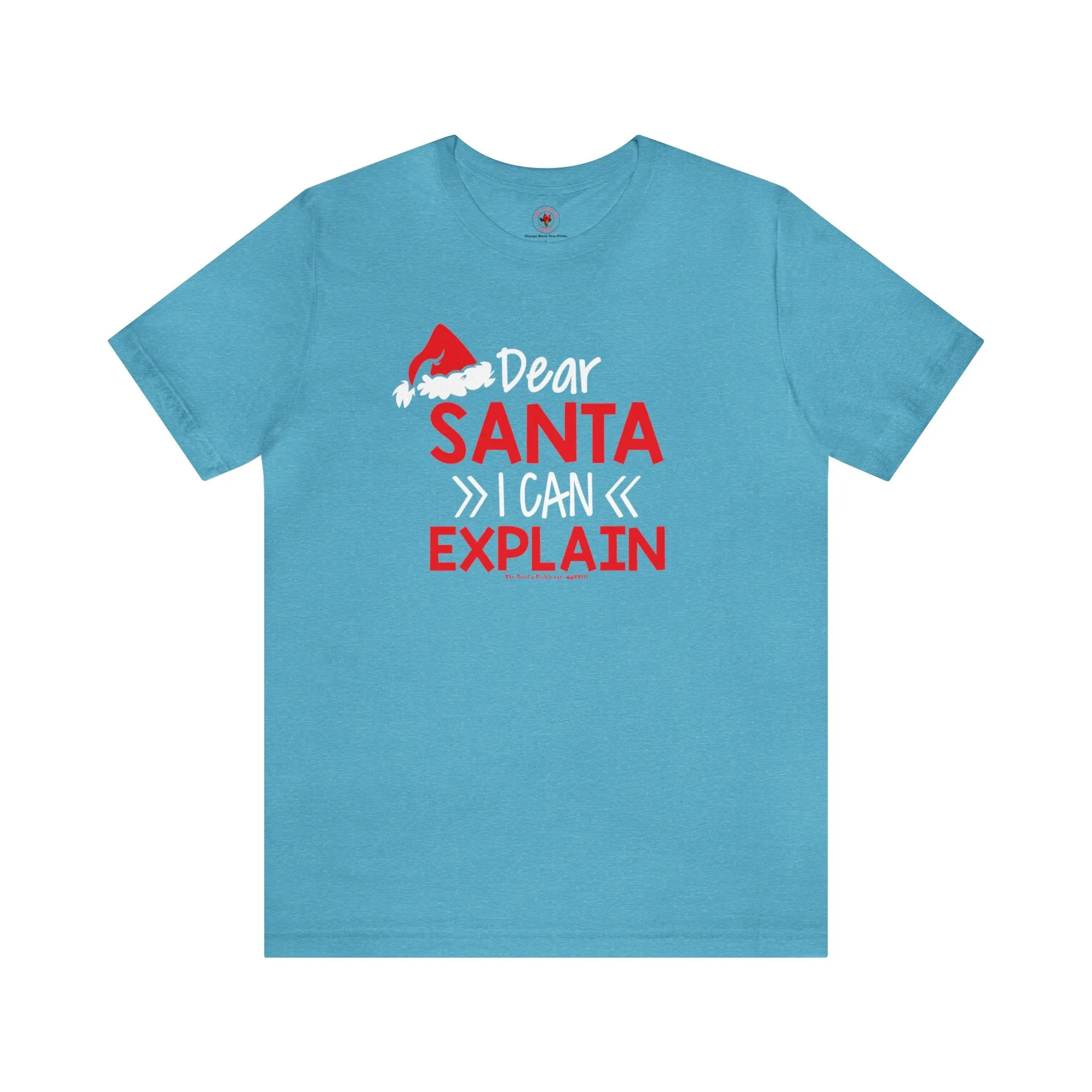 Dear Santa I Can Explain T-Shirt