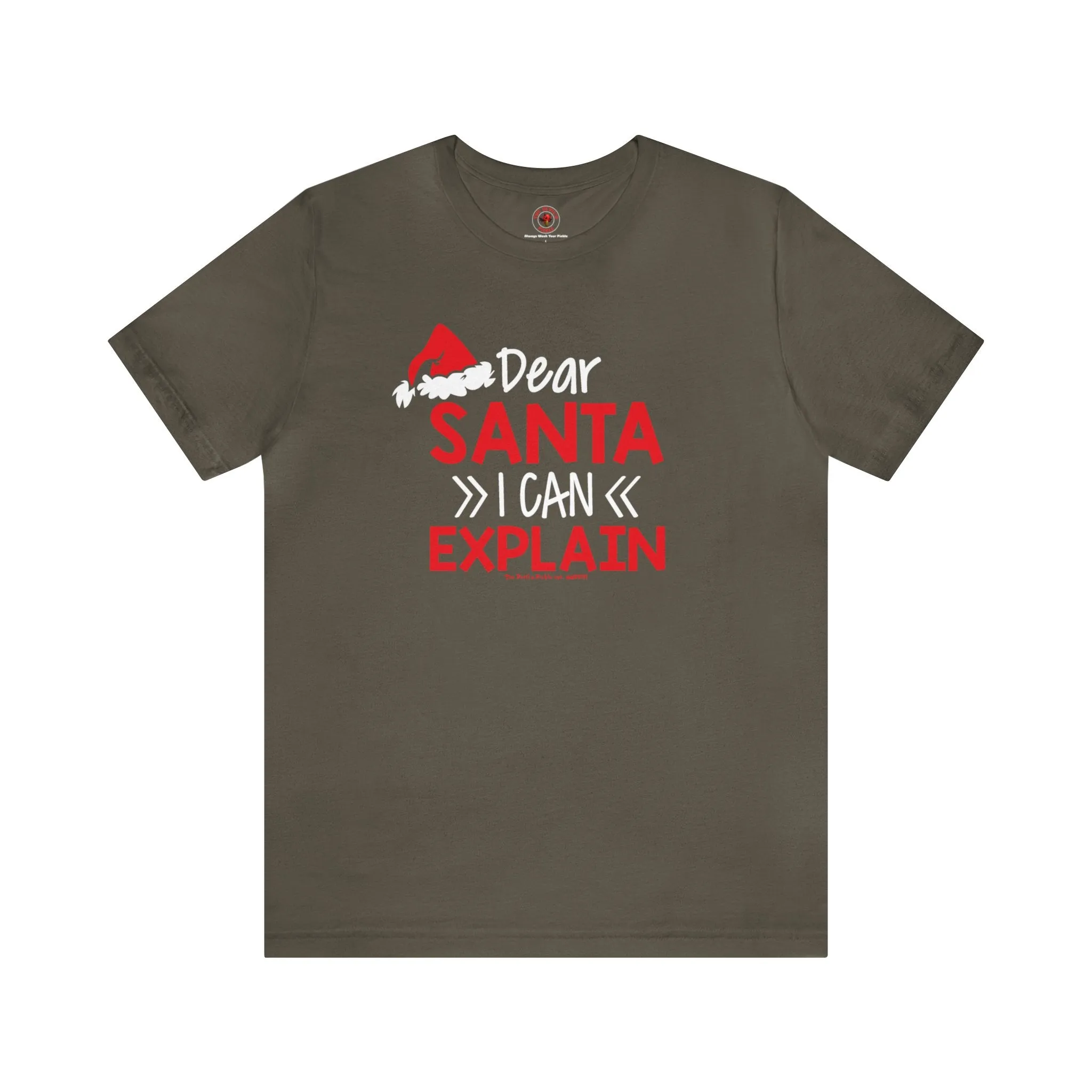 Dear Santa I Can Explain T-Shirt