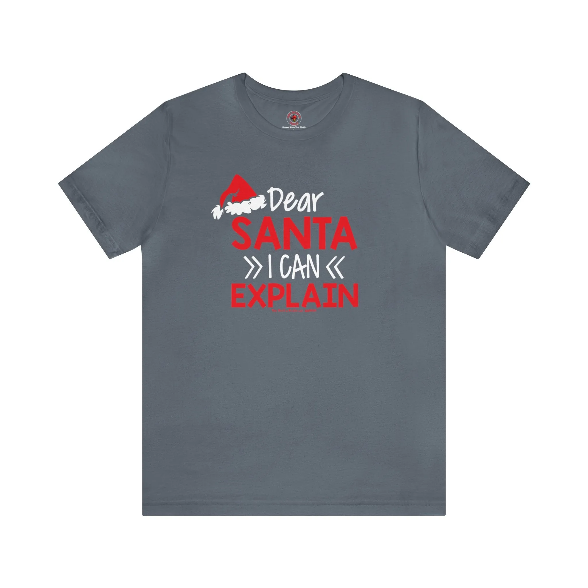 Dear Santa I Can Explain T-Shirt