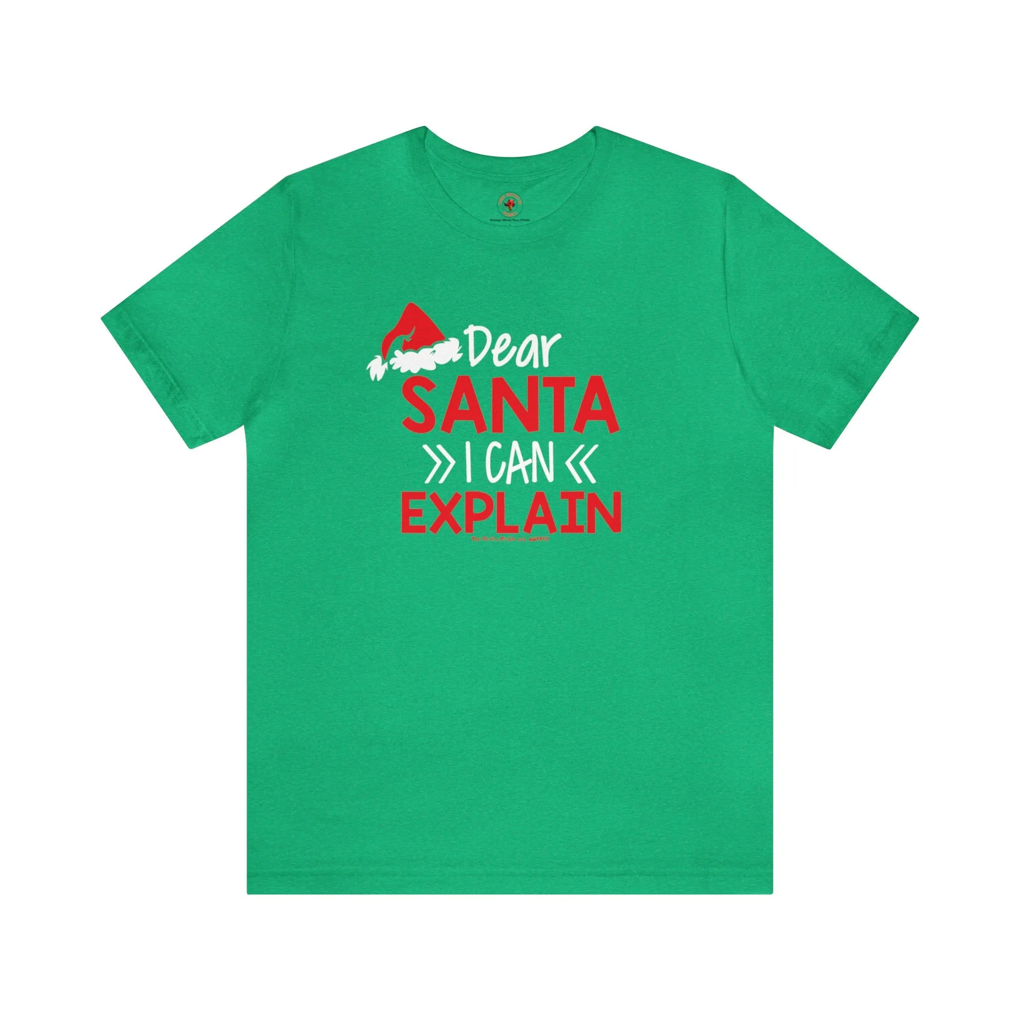 Dear Santa I Can Explain T-Shirt