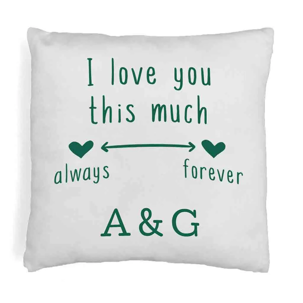 Love You Always and Forever 2 Year Anniversary Pillow Cover