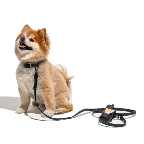 Wild One Dog Leash Standard